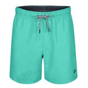 RIPT Essentials Mens Swim Shorts / Turquoise